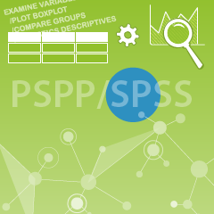 Datenanalyse PSPP